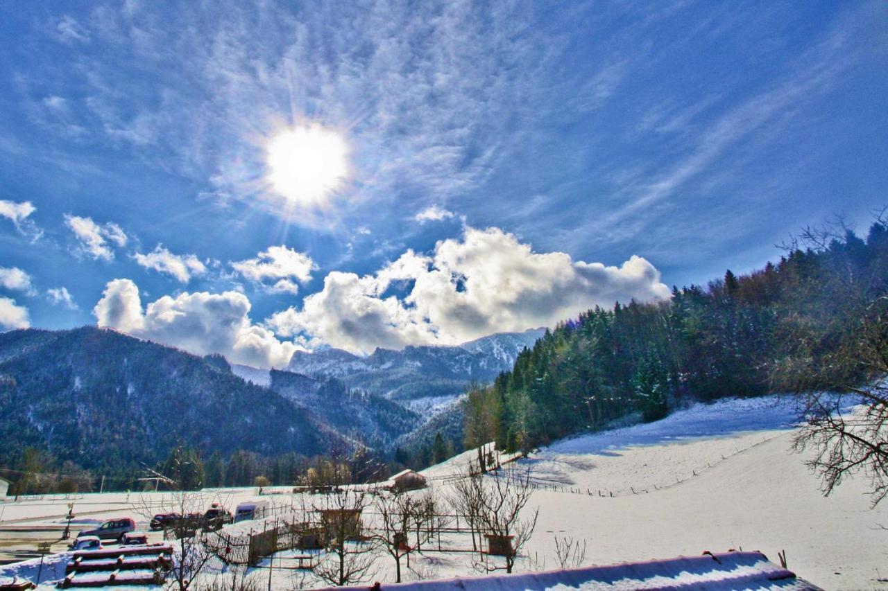 Ferienwohnungen Wanderparadies Bauernhof 基姆高的阿绍 外观 照片